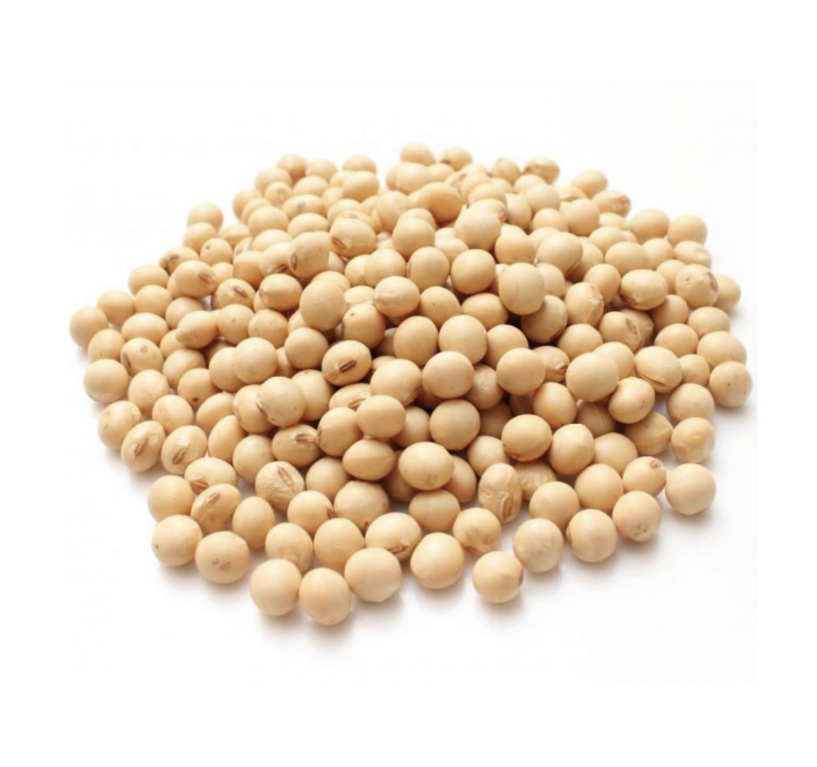 Poroto de Soya 5Kg. Agronewen