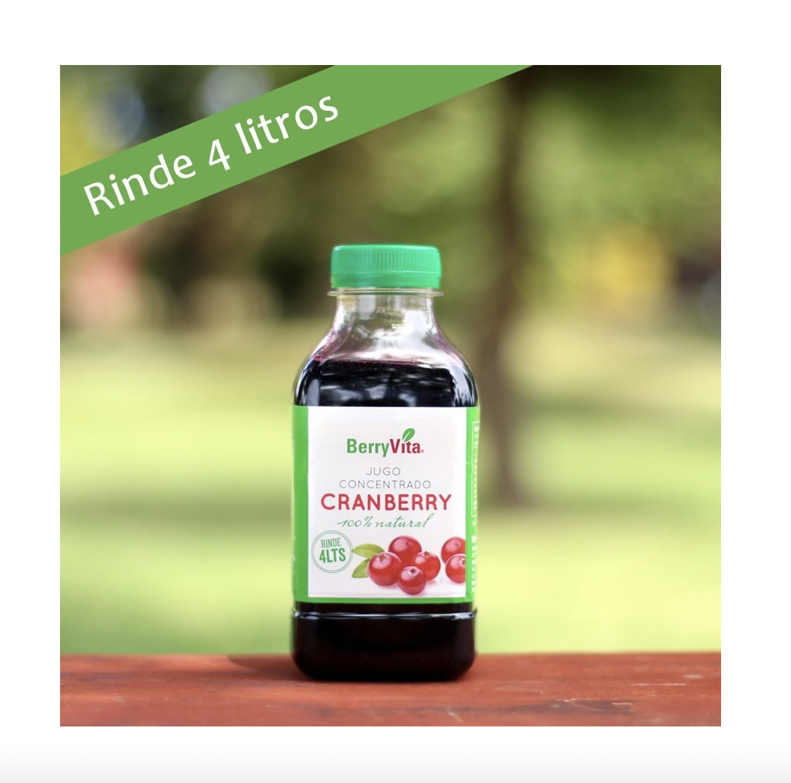 Jugo Concentrado Cranberry Rinde 4 Litros 450ml. 100% Natural BerryVita - Image 2