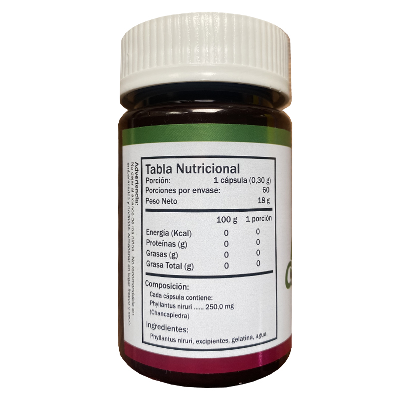Chancapiedra Phyllantus Niruni 60 Cápsulas Green Medical - Image 2